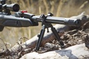RIFLE DE DIABOLO GAMO CAL 5.5 SPEEDSTER IGT 10X GEN3I MIRA G39X40WR P6110039255-IGT57