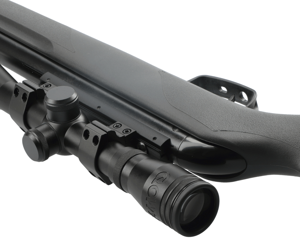 RIFLE DE DIABOLO GAMO CAL 5.5 BIG CAT 1000 MIRA VF4X28WR P611006575557