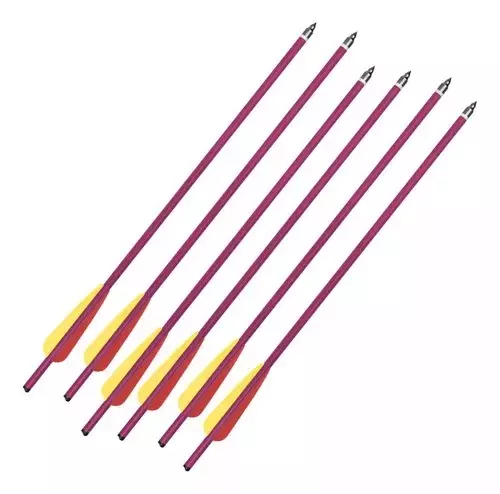 SET FLECHA BALLESTA ARCO GAMO DE 6 PZAS ALUMINIO MK-AL20/6R